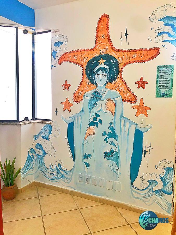Chamos Hostel Cultural Арраял-ду-Кабу Екстер'єр фото
