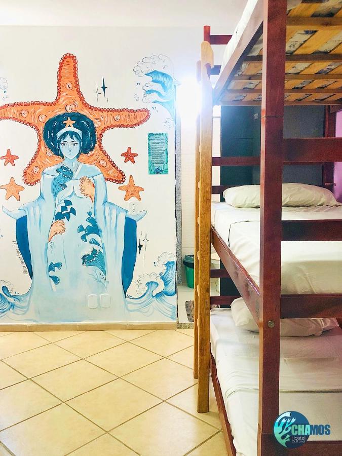 Chamos Hostel Cultural Арраял-ду-Кабу Екстер'єр фото